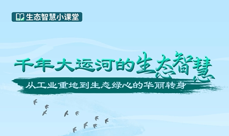 千年大运河的生态智慧-从工业重地到生态绿心的华丽转身
