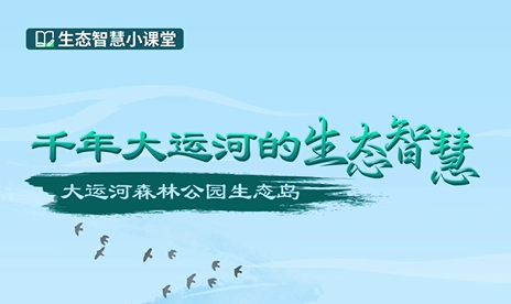 千年大运河的生态智慧-大运河森林公园生态岛