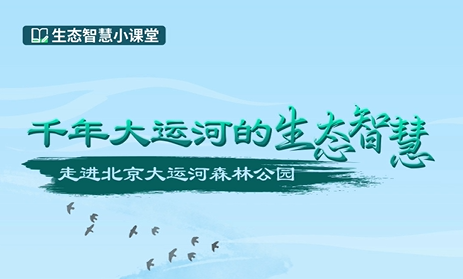 千年大运河的生态智慧-走进北京大运河森林公园