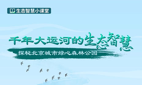 千年大运河的生态智慧-探秘北京城市绿心森林公园