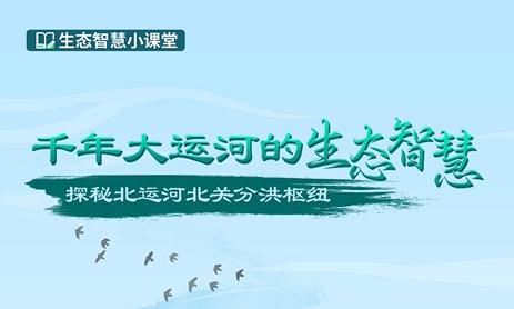 千年大运河的生态智慧-探秘北运河北关分洪枢纽