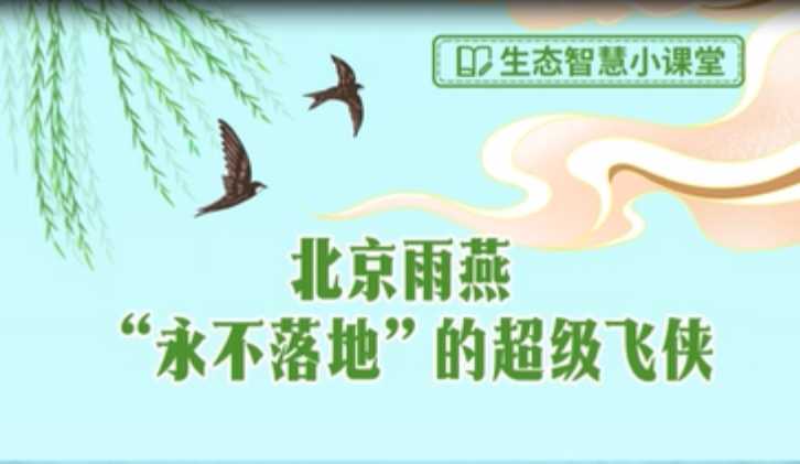北京雨燕“永不落地”的超级飞侠