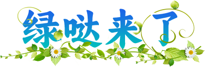 绿映来了